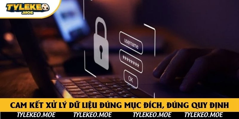 Cam kết xử lý dữ liệu đúng mục đích, đúng quy định