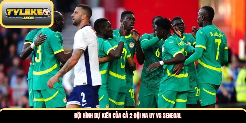 Đội hình dự kiến của cả 2 đội Na Uy vs Senegal